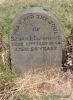 Tombstone - Guinnane, Sarah Elizabeth (nee Towers)